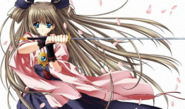 动漫冰,探寻动漫冰的奇幻世界